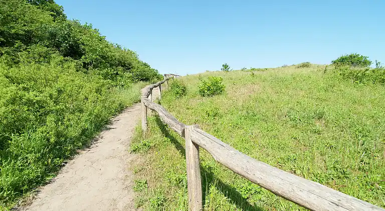 Holiday home in Overveen