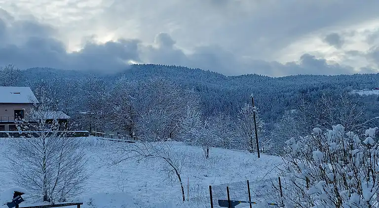 Cottage in Saint-Maurice-sur-Moselle