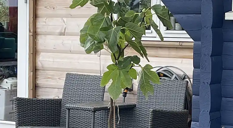 Ferienhaus in Kalundborg