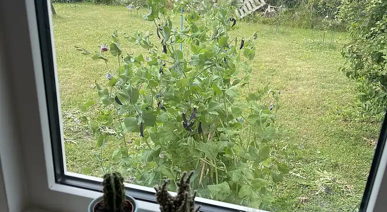 Ferienhaus in Kalundborg