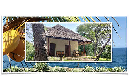 Holiday home in Shimoni