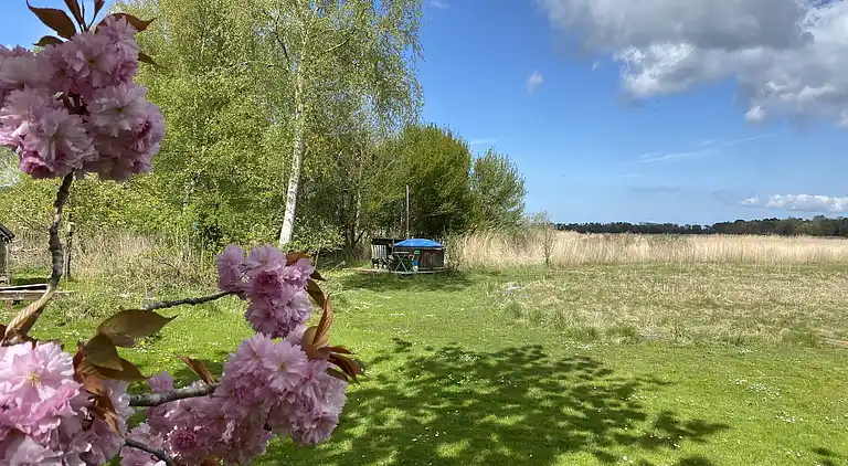 Einsig artiges Landhaus am Wasser