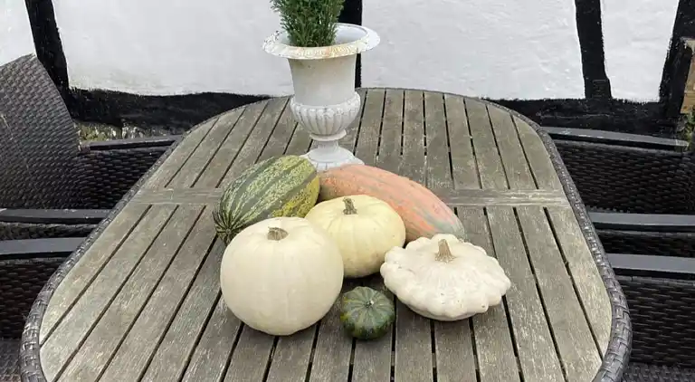 Charmerende sommerhus i gåafstand til stranden