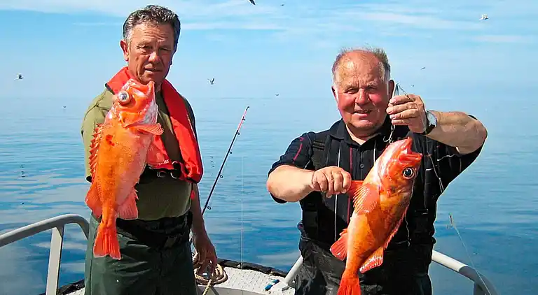 Holiday home in Oksvoll