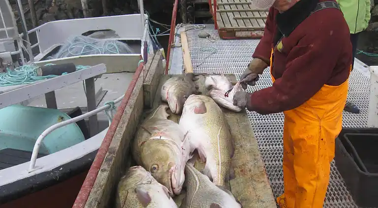 Holiday home in Oksvoll