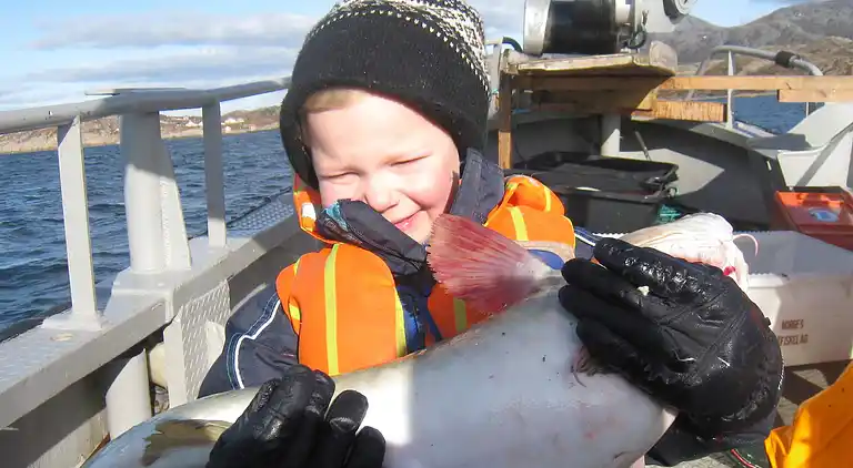 Holiday home in Oksvoll