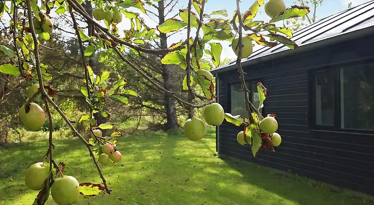 Vakantiehuis in Skallerup Klit