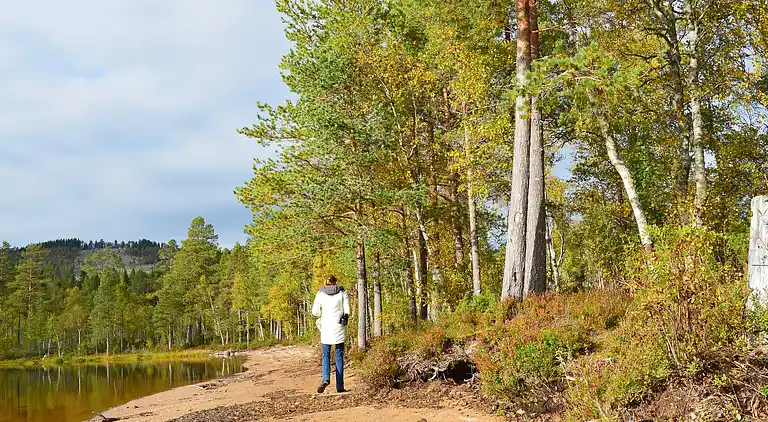 Holiday home in Eidsvåg