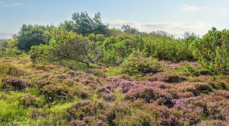 Holiday home in Lodbjerg Hede