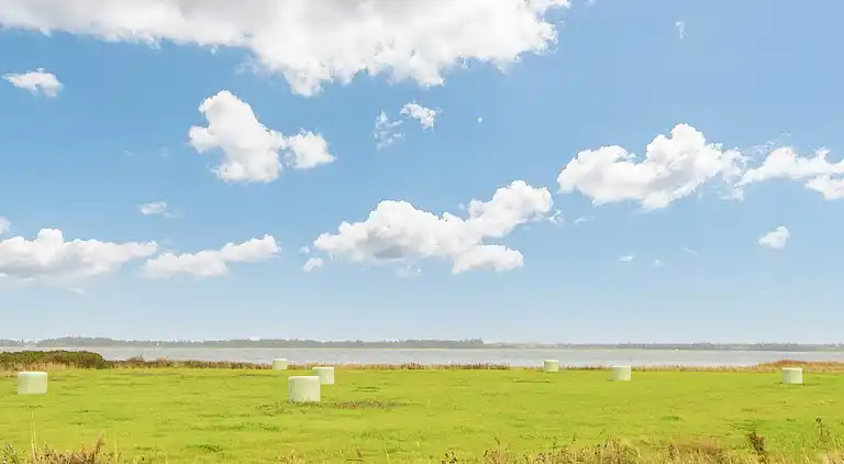 Holiday home in Ulfborg