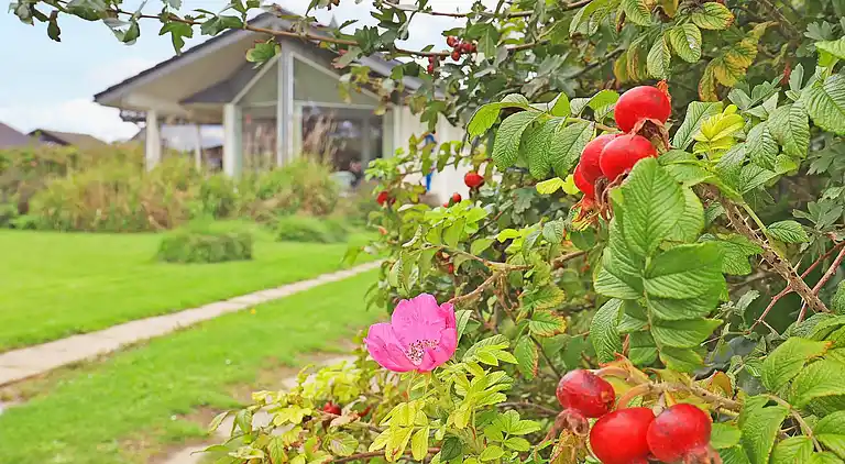 Holiday home in Faaborg