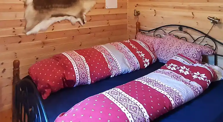 Sommerhus i Tjørhom