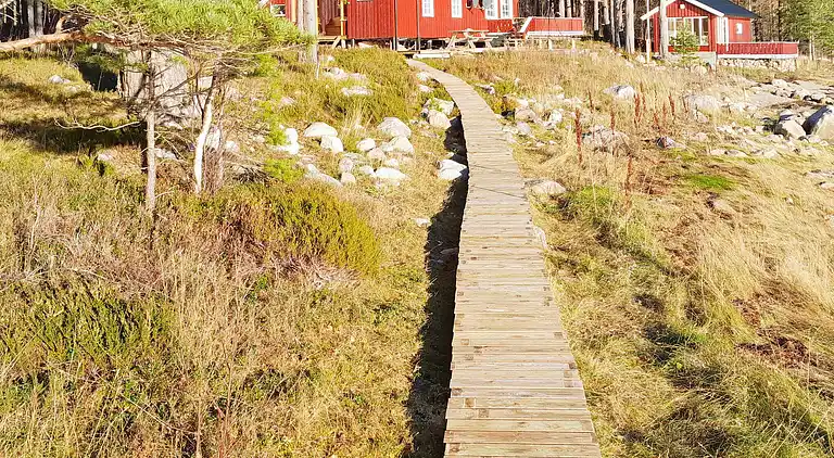 Semesterbostad i Vaage