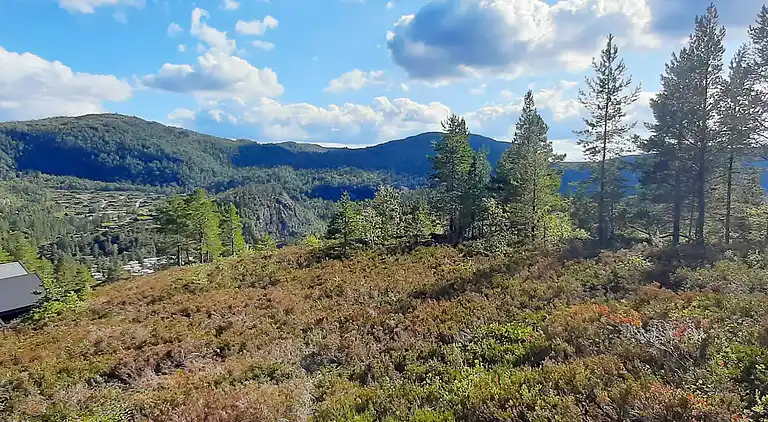 Sommerhus i Tjørhom
