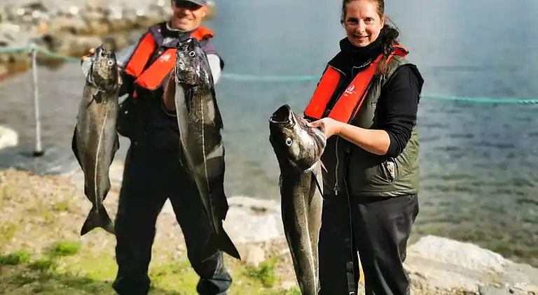 Sommerhus i Eidsvåg