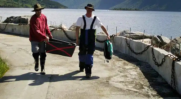 Sommerhus i Eidsvåg