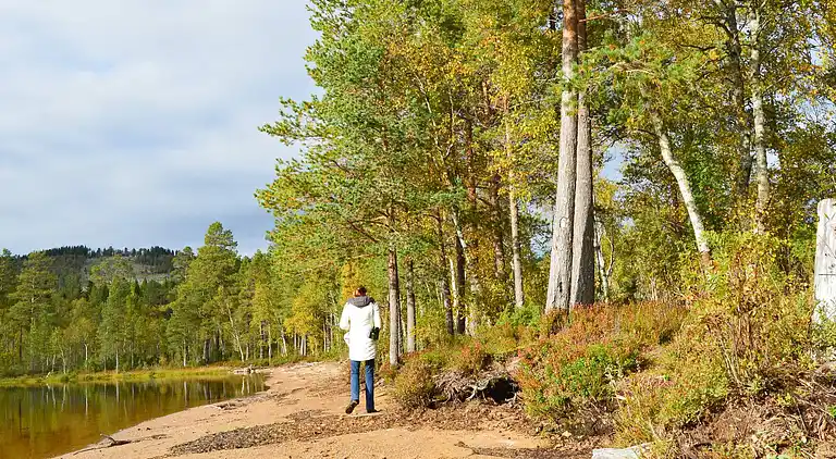 Sommerhus i Eidsvåg