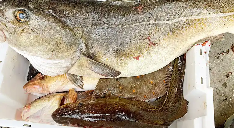 Holiday home in Austrheim