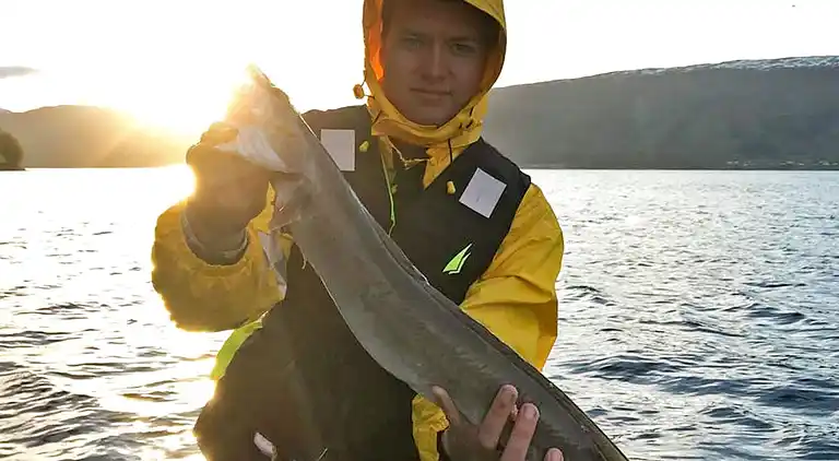 Sommerhus i Eidsvåg