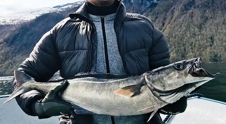 Sommerhus i Eidsvåg