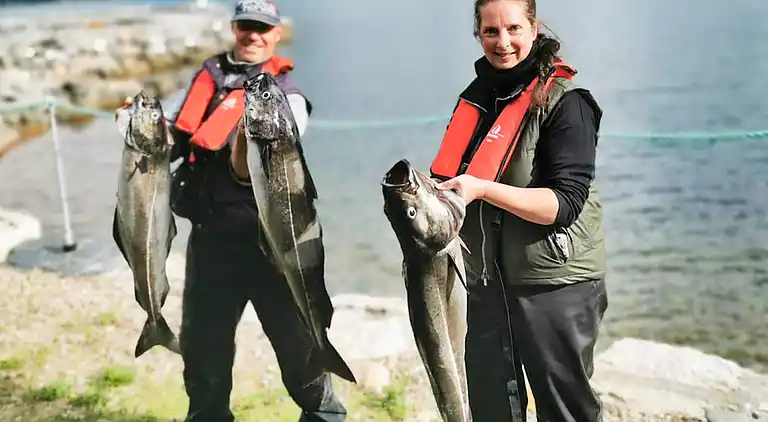 Sommerhus i Eidsvåg