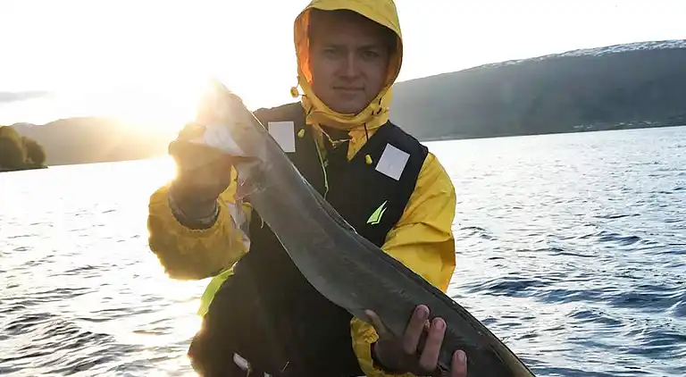 Sommerhus i Eidsvåg