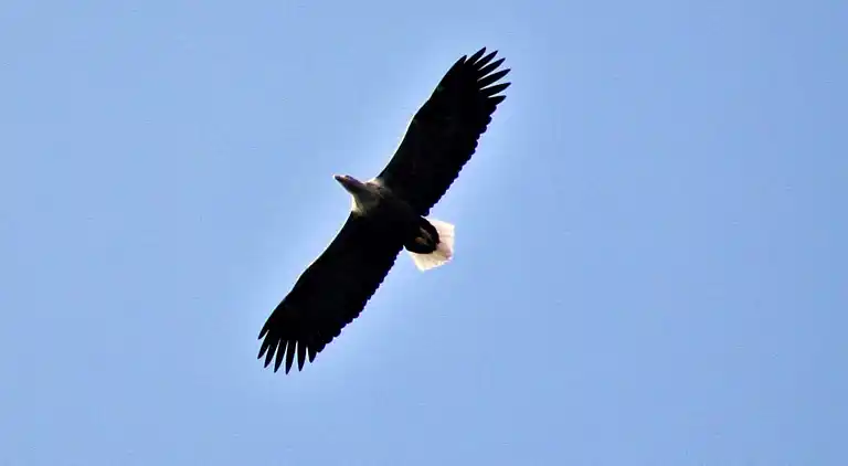 Holiday home in Austrheim