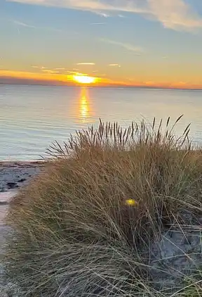 Naturskønt sommerhus på Langeland