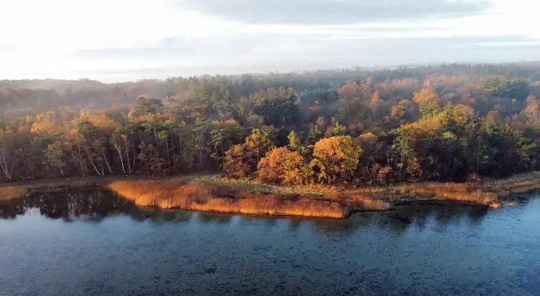 Hyggeligt sommerhus på Tuse Næs i Holbæk