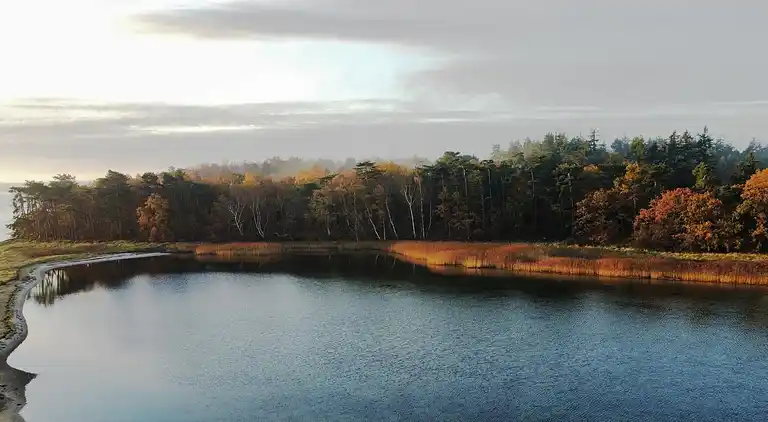 Hyggeligt sommerhus på Tuse Næs i Holbæk