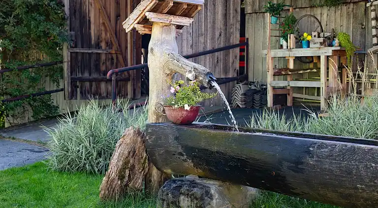 Ferielejlighed i Hollersbach im Pinzgau