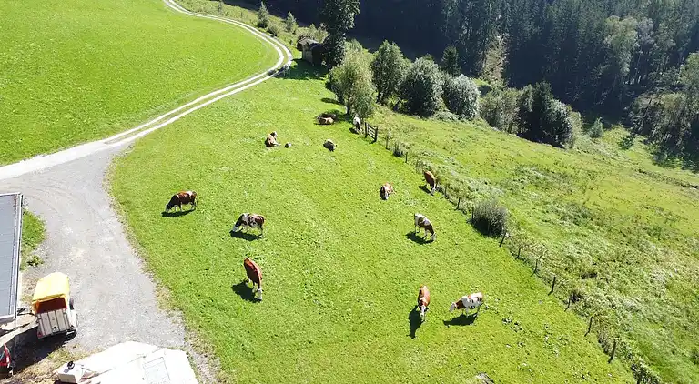 Ferielejlighed i Hollersbach im Pinzgau