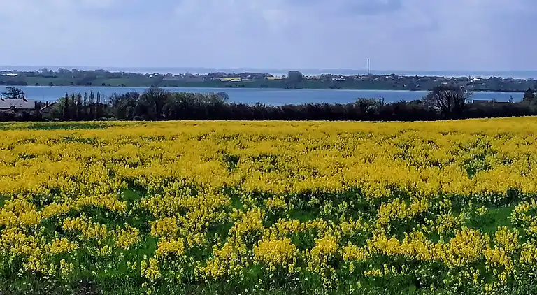 Große Ferienwohnung mit Meerblick in Strandnähe