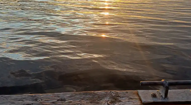 Hyggeligt 'heksehus' med skøn have og fjordkig