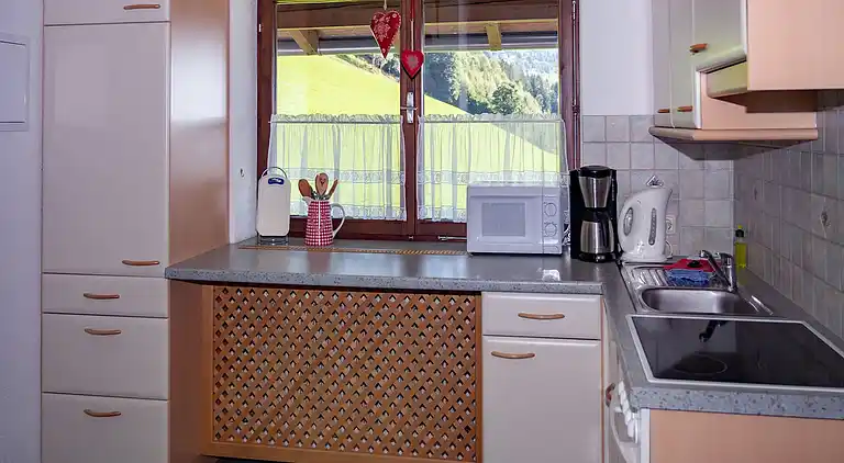 Ferielejlighed i Hollersbach im Pinzgau