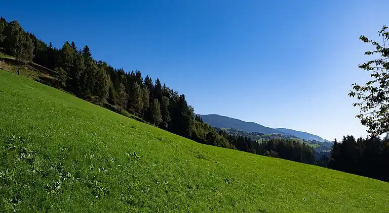 Ferielejlighed i Hollersbach im Pinzgau