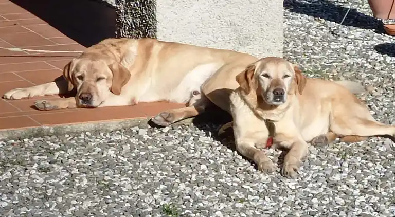 Cottage in San Quirico