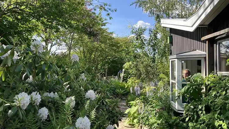 Hyggeligt 'heksehus' med skøn have og fjordkig