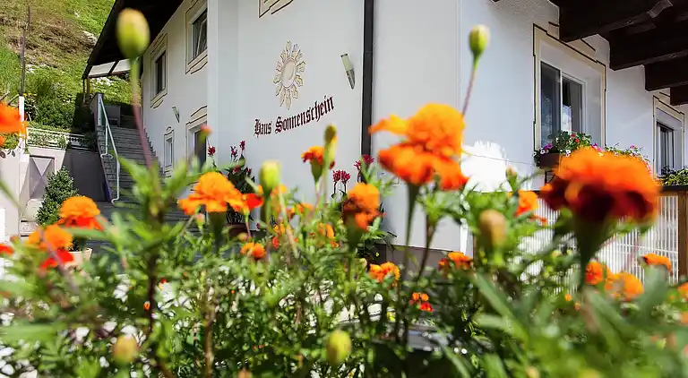 Apartment in Stuhlfelden