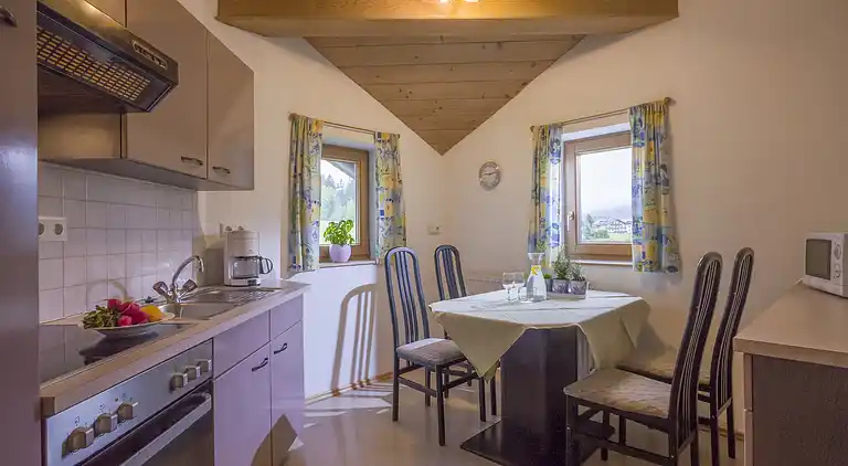 Apartment in Kaltenbach