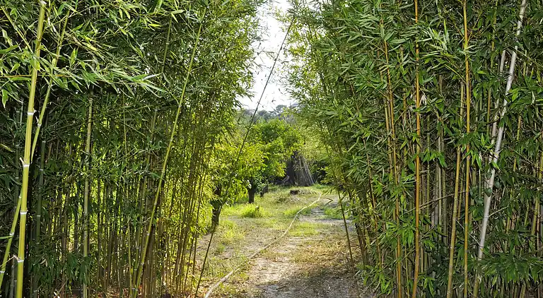 Holiday home in Lido di Noto