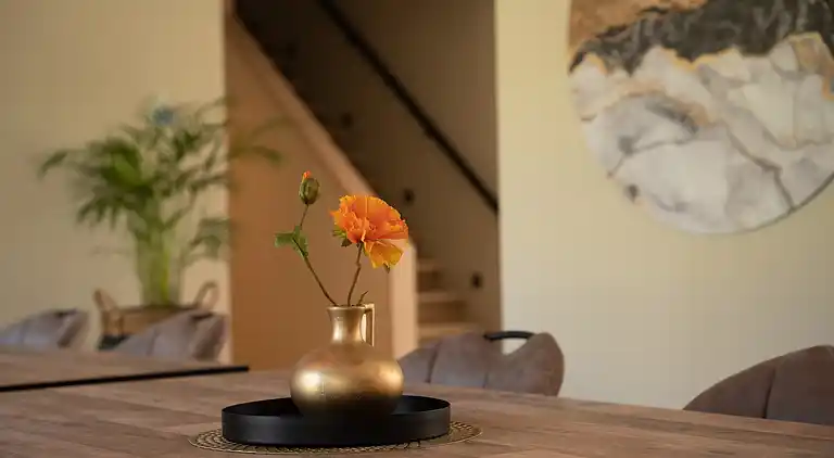 Maison de vacances au Losser