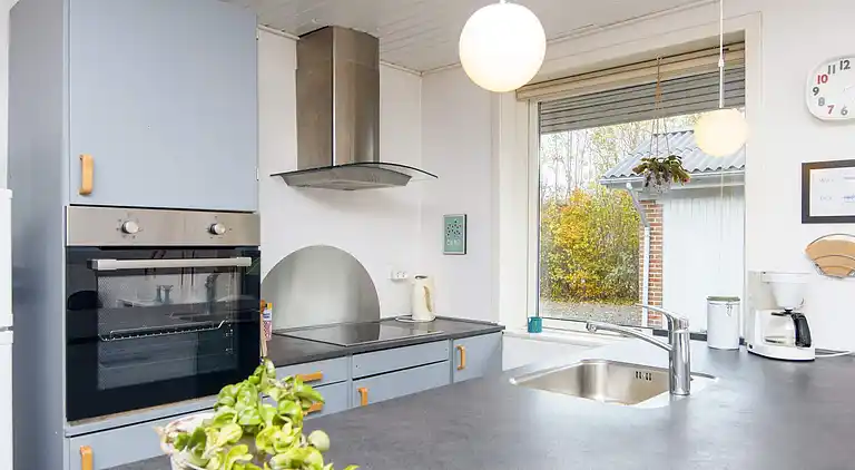 Sommerhus i Bork Havn