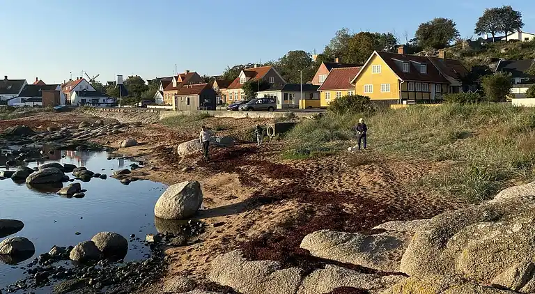 Schöne Ferienwohnung in Meeresnähe , Årsdale (9)