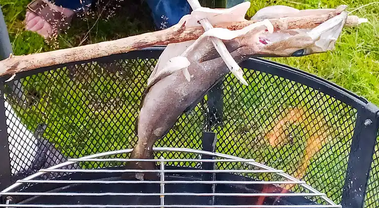 Sommerhus i Birkedal