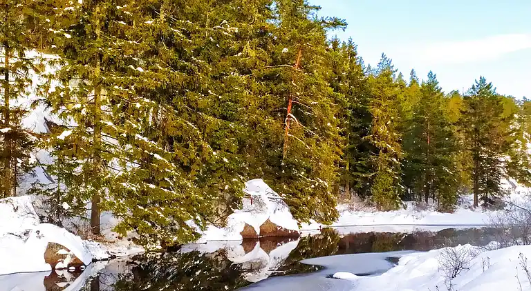 Sommerhus i Birkedal