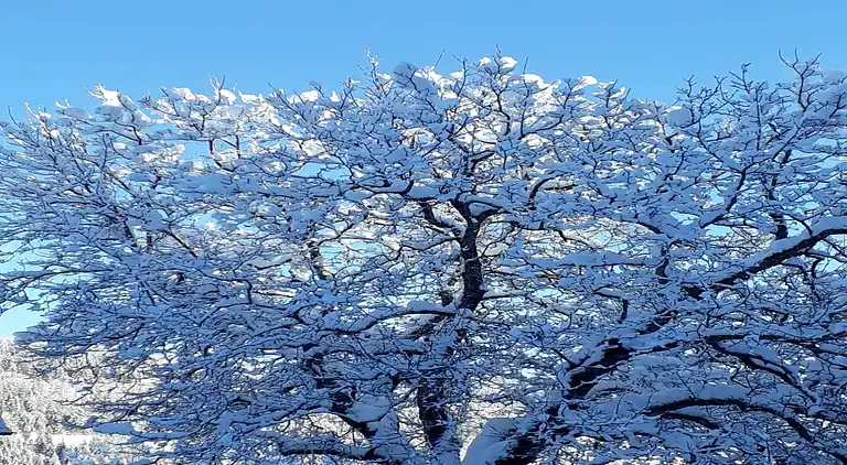 Ferienhaus in Treffen am Ossiacher See