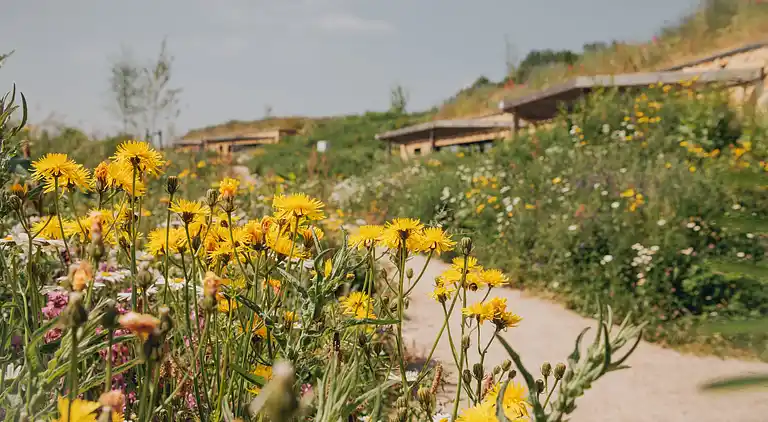 Vakantiehuis in Reijmerstok