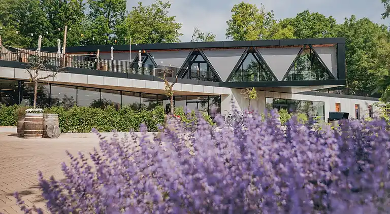 Vakantiehuis in Reijmerstok