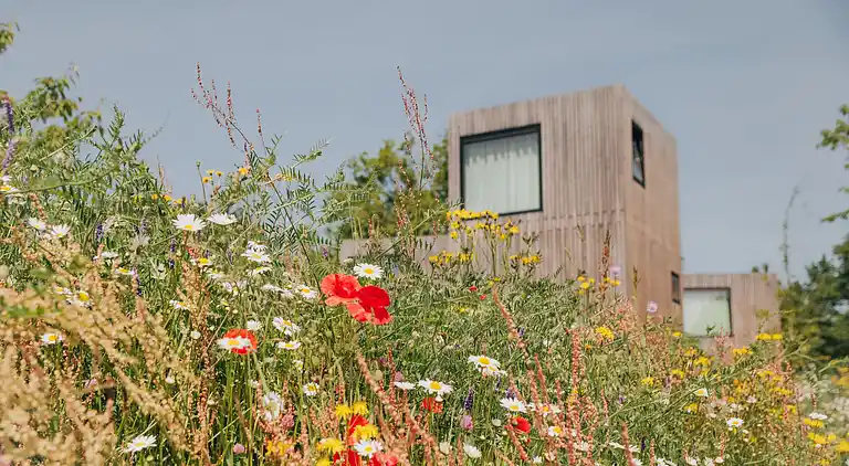 Vakantiehuis in Reijmerstok